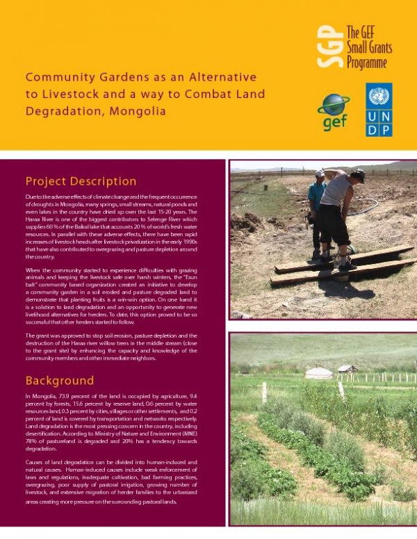 Community gardens as an alternative to livestock and a way to combat land degradation in Mongolia