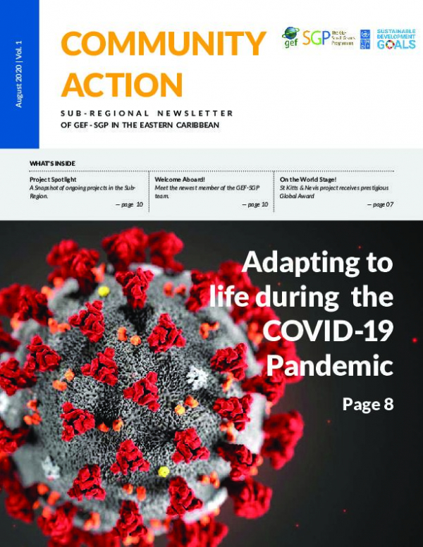 Community Action: Sub-regional Newsletter August 2020| Vol. 1