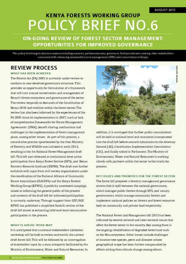 Kenya - Forest management policy brief