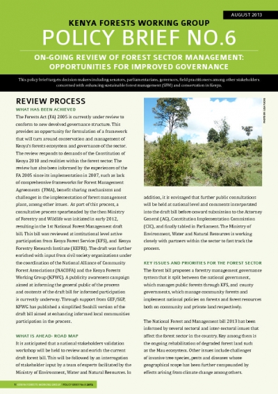 Kenya - Forest management policy brief