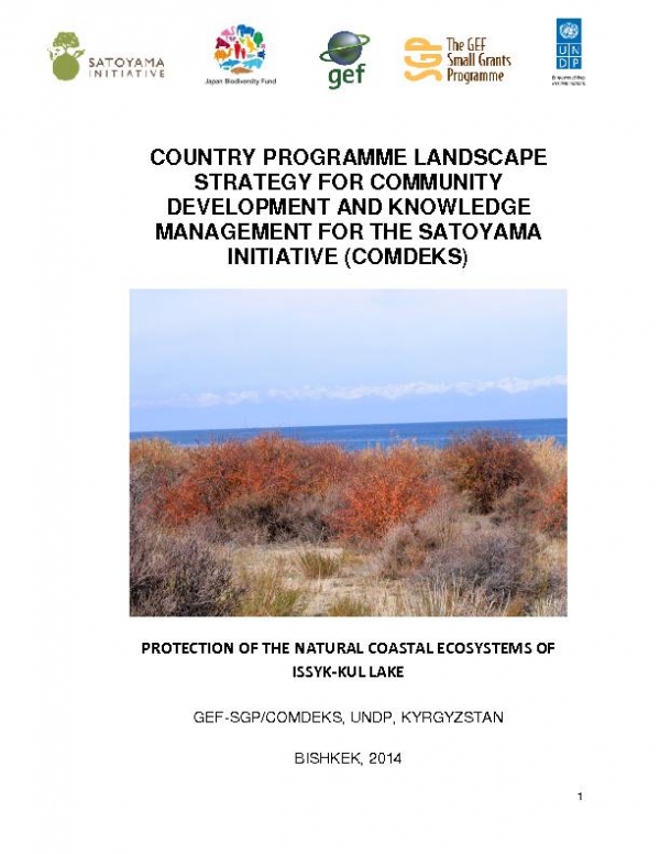 Kyrgyzstan COMDEKS country strategy