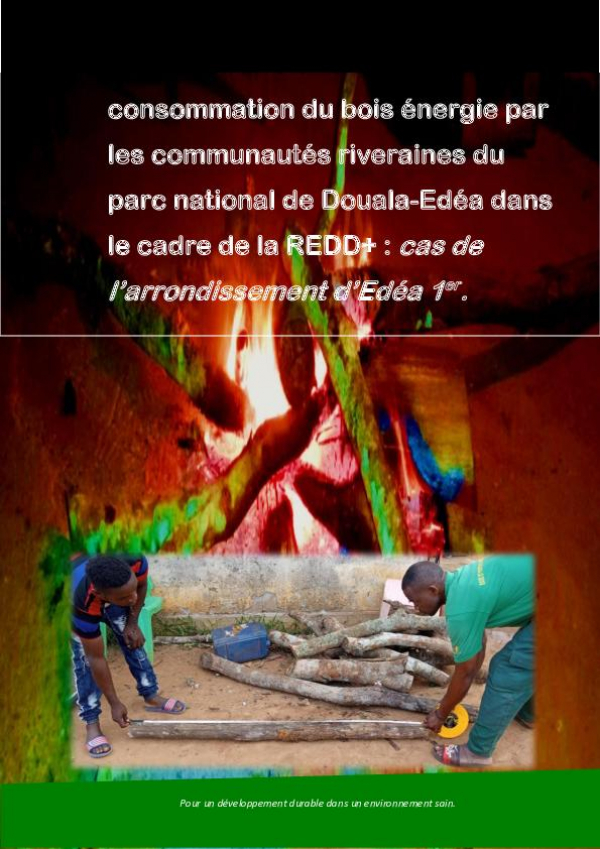 Rapport de l&rsquo;&eacute;tude sur la consommation du bois &eacute;nergie par les communaut&eacute;s riveraines du parc national de Douala-Ed&eacute;a dans le cadre de la REDD+ : cas de l&rsquo;arrondissement d&rsquo;Ed&eacute;a 1er