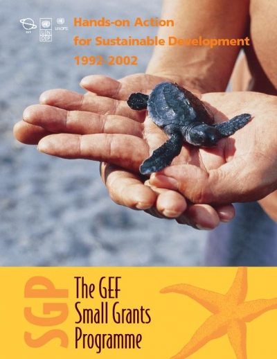 SGP 10 Year Report