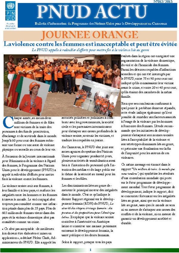 UNDP Cameroon Newsletter Nr. 12 2013