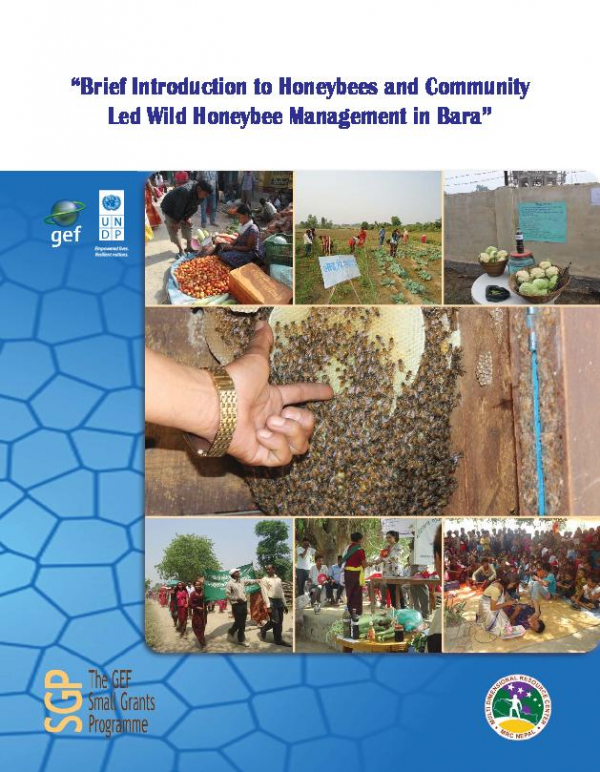 Brief Introduction to Honeybees and Community Led Wild Honeybee Management in Bara
