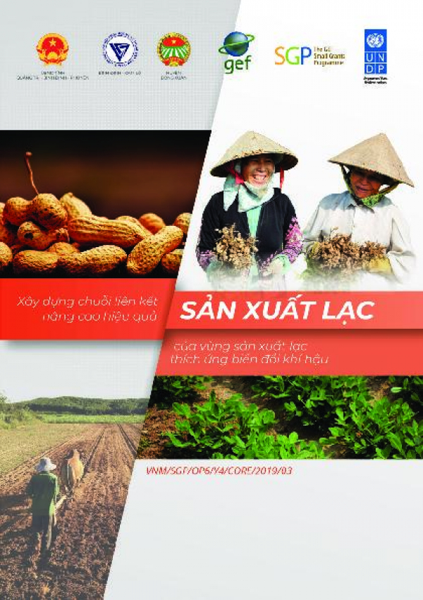 Promoting value chains for CSA groundnut in Binh Dinh, Phu Yen and Quang Tri provinces.
