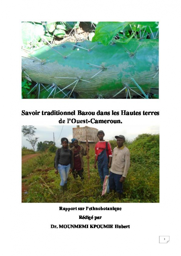 Savoir traditionnel Bazou dans les Hautes terres de l&rsquo;Ouest-Cameroun