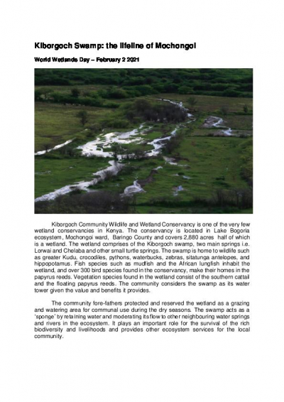 Kiborgoch Swamp: the lifeline of Mochongoi- World Wetlands Day 2021