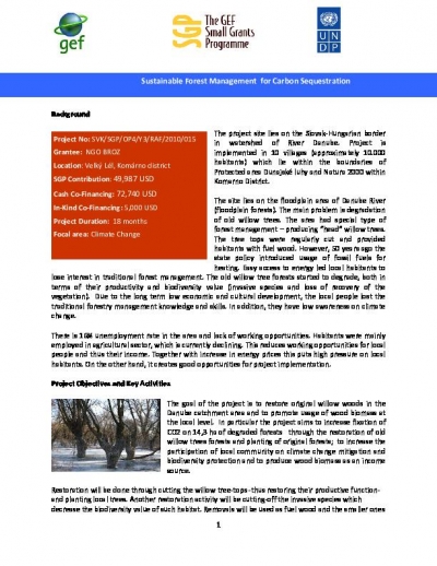 Sustainable Forest Management for Carbon Sequestration