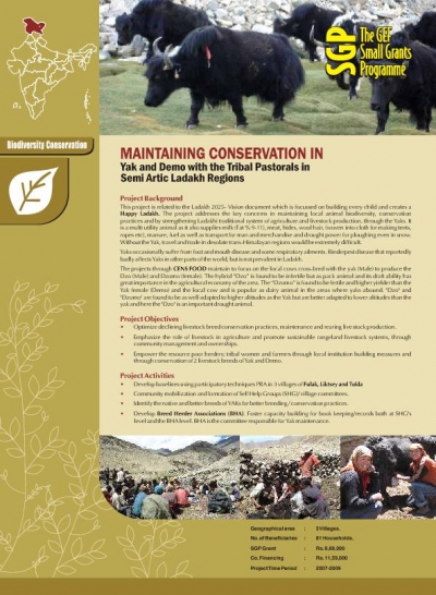 Maintaining Conservation in Yak and Demo with the Tribal Pastorals in Semi Arctic Ladakh Regions