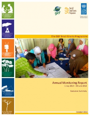 Small Grants Programme Annual Monitoring Report 2013-2014 - Executive Summary