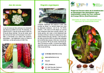 Projet de Conservation de la biodiversit&eacute; et dynamique des plantations agro- industrielles autour du Parc national de Campo Ma&rsquo;an (Sud-Cameroun)