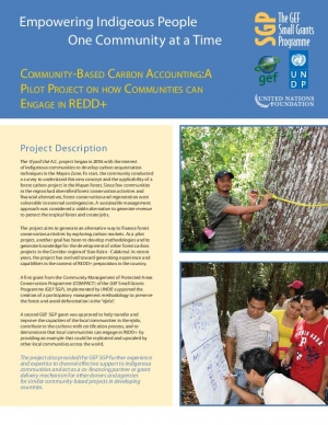 Community-Based Carbon Accounting for REDD+