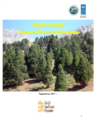 OP5 SGP Country Programme Strategy