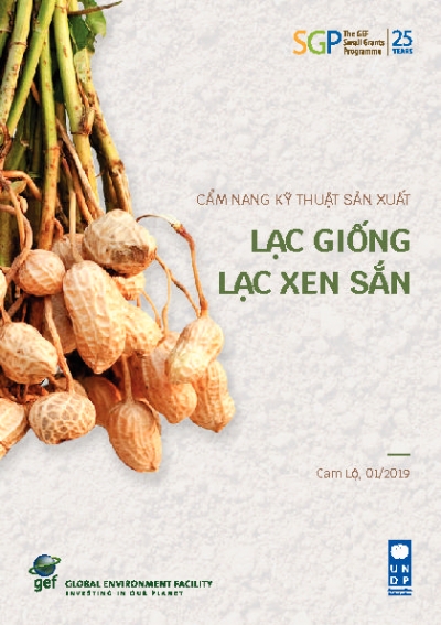 Production of groundnut inter-cropped with cassava: A technical guidance