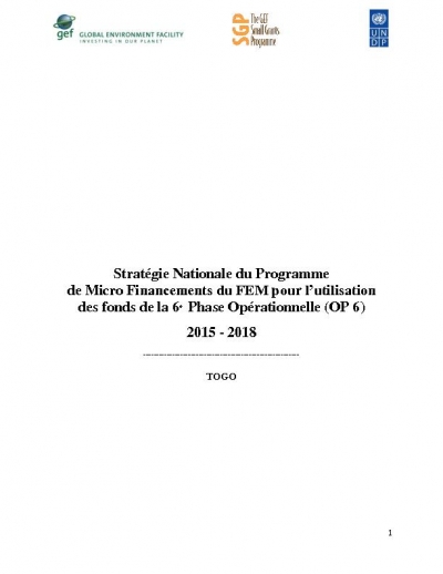 OP6 SGP Togo Country Programme Strategy