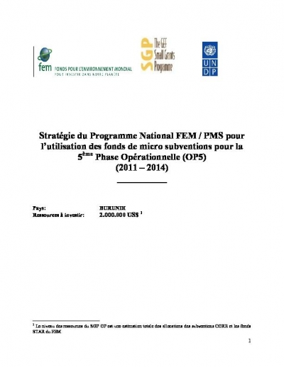OP5 SGP Country Programme Strategy