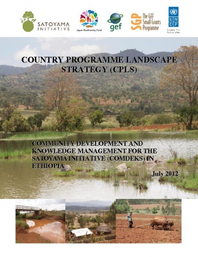 Ethiopia COMDEKS country strategy
