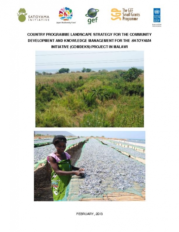 Malawi COMDEKS country strategy
