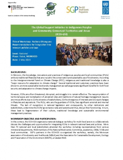 Recommendations for integration into relevant policies and laws  in Morocco
