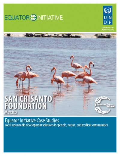 SAN CRISANTO FOUNDATI0N