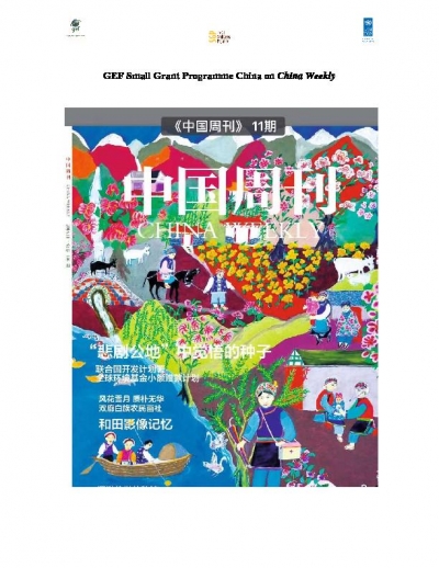 SGP China in China Weekly, November 2016