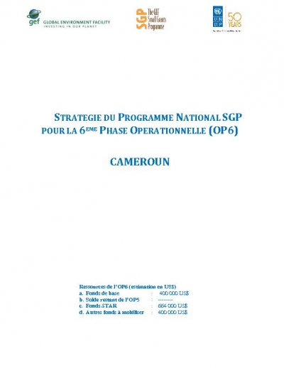 OP6 SGP Cameroon Country Programme Strategy