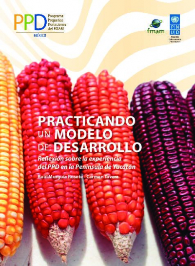 Practicando un Modelo de Desarrollo , Reflexi&oacute;n sobre la experiencia Del PPD en la Pen&iacute;nsula de Yucat&aacute;n