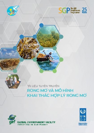 Sustainable harvesting of Sargassum in Nha Trang Bay, Khanh Hoa province