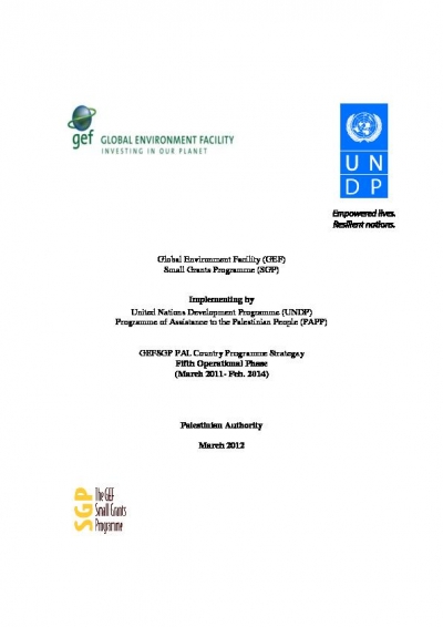 OP5 SGP Country Programme Strategy