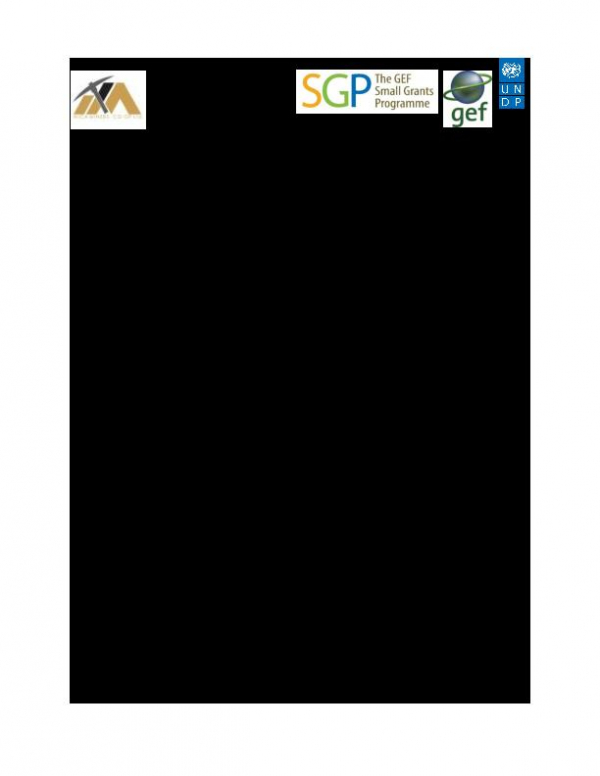 Protecting, Restoring and Conserving the Environment within ASGM sites.