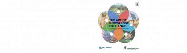 The Art of Knowledge Exchange