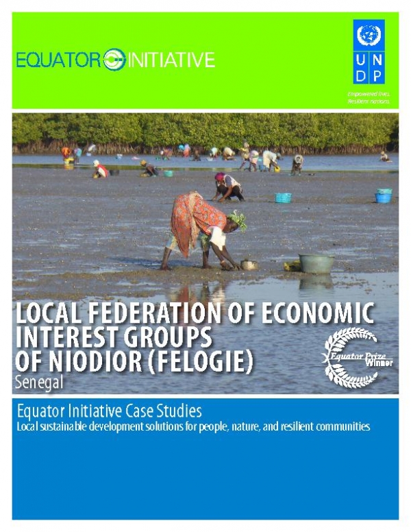 LOCAL FEDERATION OF ECONOMIC INTEREST GROUPS OF NIODIOR (FELOGIE)