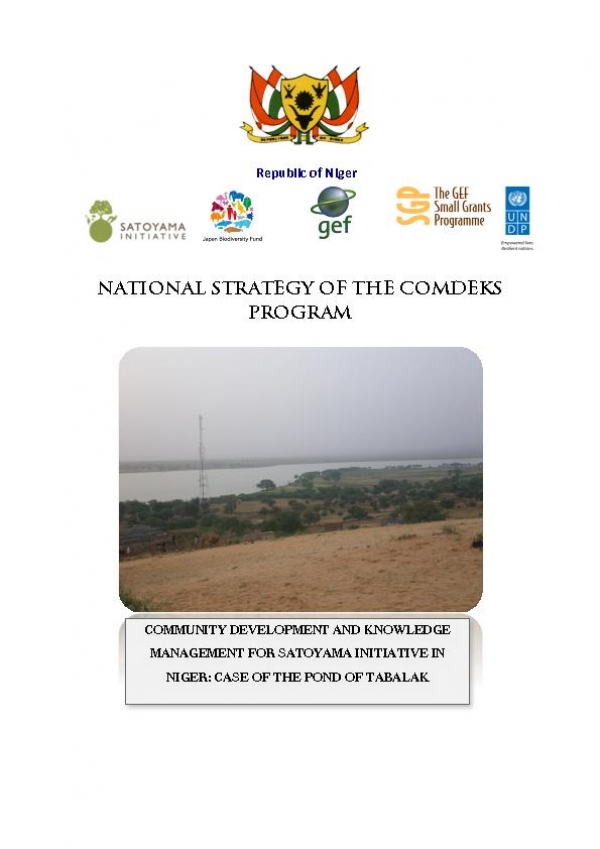 Niger COMDEKS country strategy