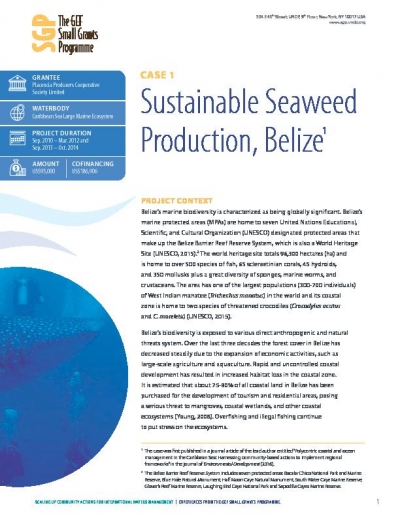 Sustainable Seaweed Production, Belize