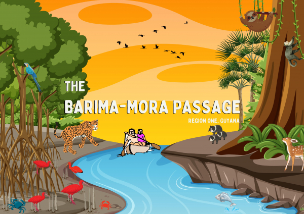 Barima- Mora Passage Mangrove Forest Storybook