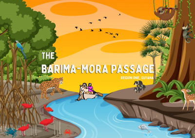 Barima- Mora Passage Mangrove Forest Storybook