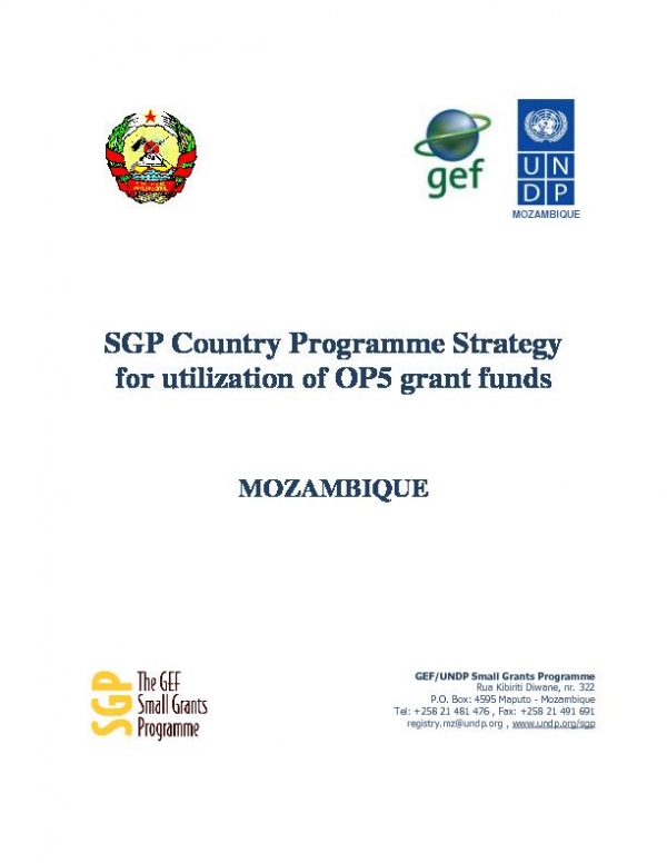 OP5 SGP Country Programme Strategy