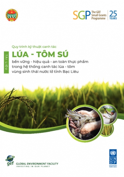 Rice-Shrimp Cultivation in salty waters in Bac Lieu province _ A technical manual