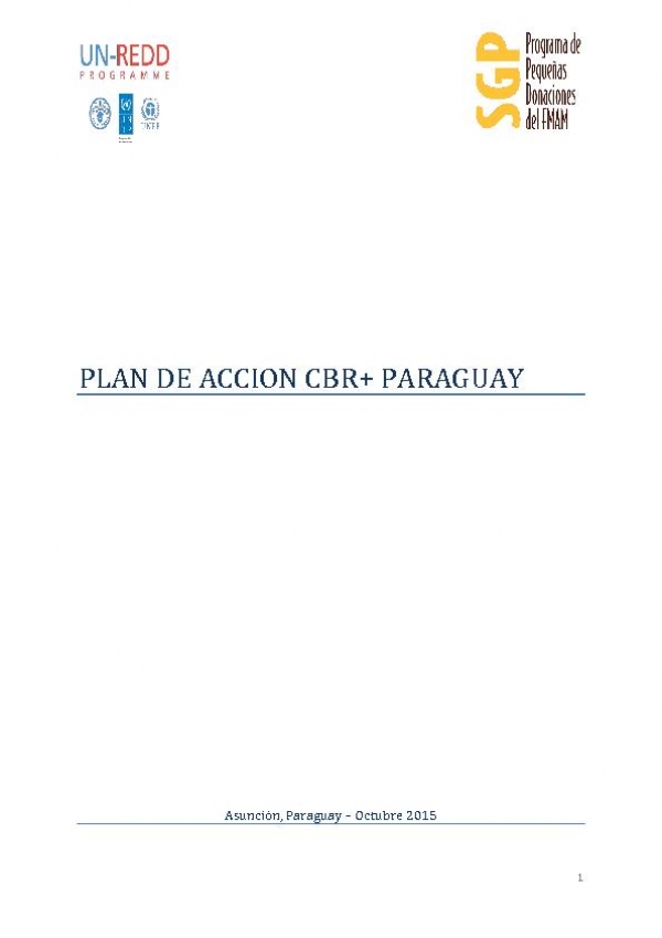 Plan de Acci&oacute;n CBR+ Paraguay