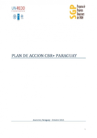 Plan de Acci&oacute;n CBR+ Paraguay