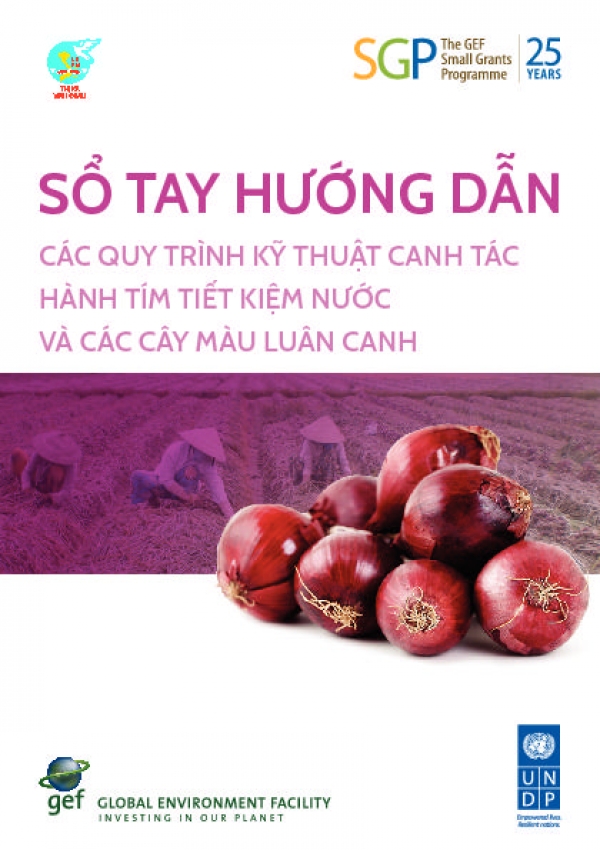 Intensive Crops and Pink Onion Cultivation on Sandy Lands _  A technical manual