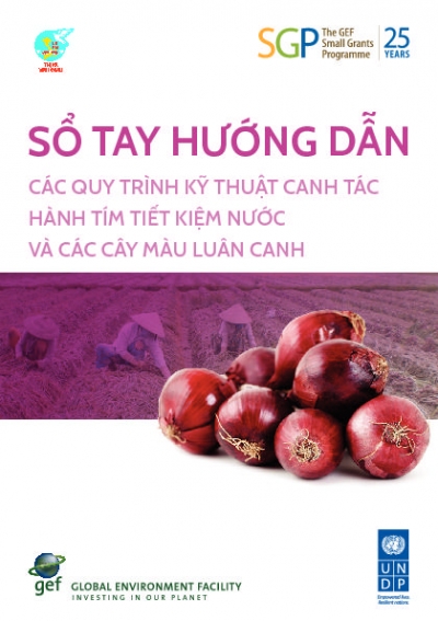 Intensive Crops and Pink Onion Cultivation on Sandy Lands _  A technical manual