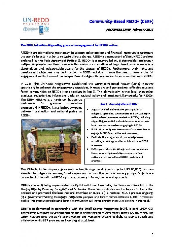 Community-Based REDD+ Progress Report 2017