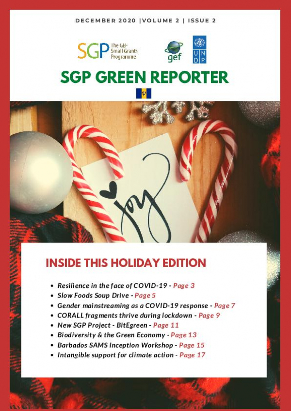 SGP Green Reporter - December 2020