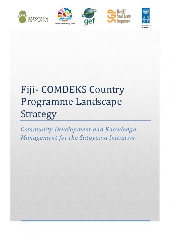Fiji COMDEKS country strategy