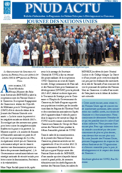UNDP Cameroon Newsletter Nr. 11 2013