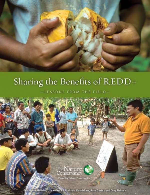 Sharing the Benefits of REDD+ - Lessons from the Field