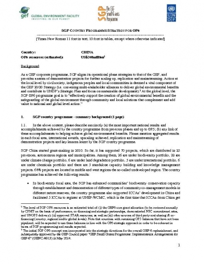 OP6 SGP China Country Programme Strategy