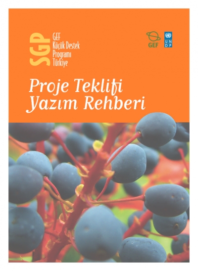 Project Teklifi Yazim Rehberi
